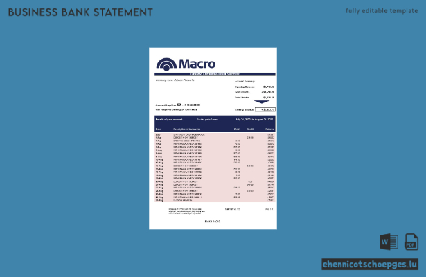 Beispiel eines Kontoauszugs der Banco Macro Organisation (Word- und PDF-Datei)